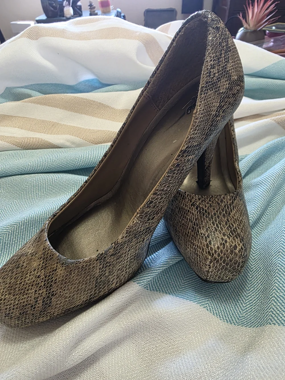 Snake-Print Pointed-Toe Heels in Taupe
